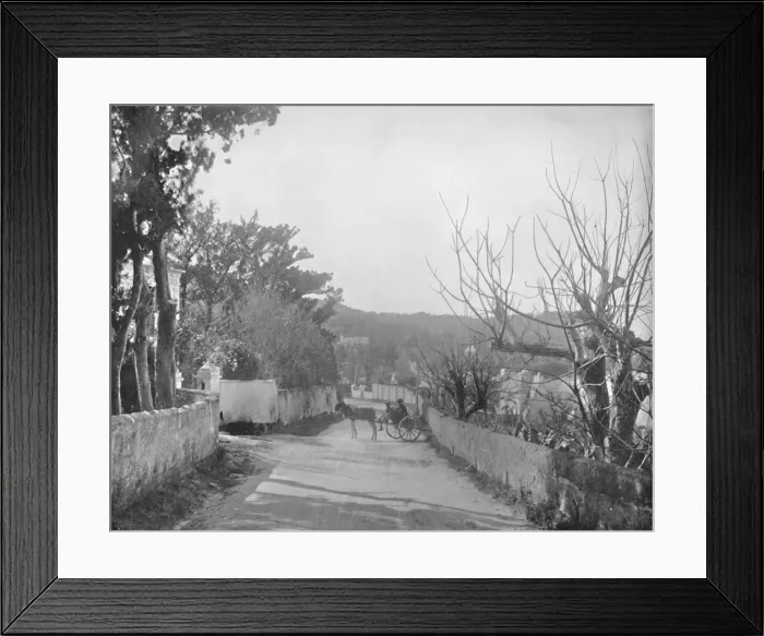 Framed Print : A Road in Port Royal, Bermuda, 19th century Framed Print : A Road in Port Royal, Bermuda, 19th century