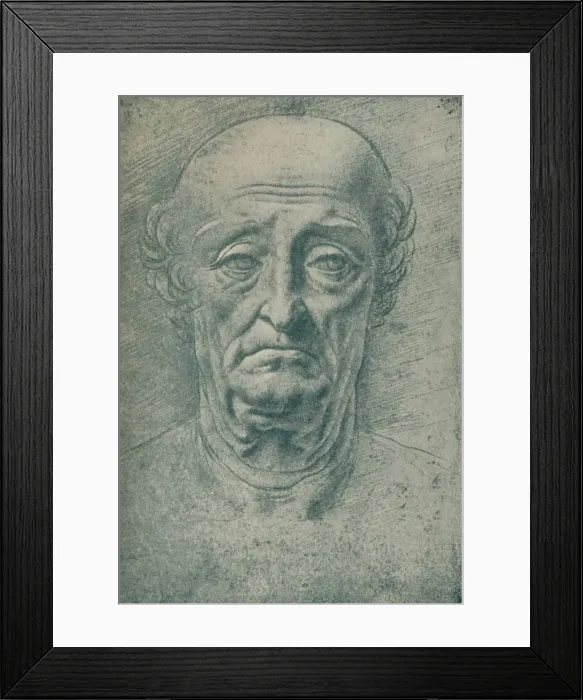 Framed Print : Head of an Old Man, c15th century, (1932). Artist: Leonardo da Vinci Framed Print : Head of an Old Man, c15th century, (1932). Artist: Leonardo da Vinci