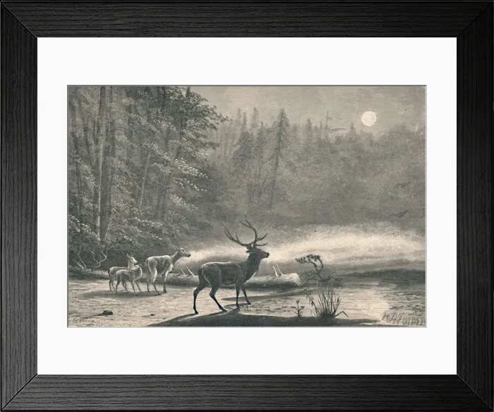 Framed Print : Deer on Lake St. Regis, at night, 1883 Framed Print : Deer on Lake St. Regis, at night, 1883
