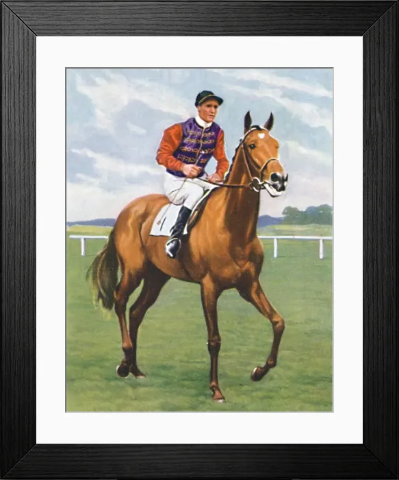 Framed Print : Cosmopolitan, Jockey: J. Crouch, 1939 Framed Print : Cosmopolitan, Jockey: J. Crouch, 1939