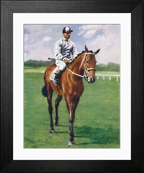 Framed Print : Foxglove II. Jockey: G. Richards, 1939 Framed Print : Foxglove II. Jockey: G. Richards, 1939
