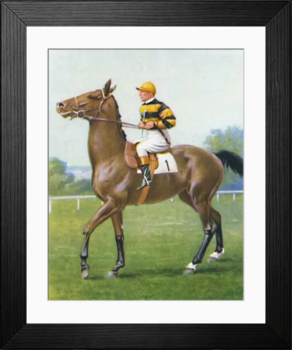 Framed Print : Golden Sovereign, Jockey: T. Weston, 1939 Framed Print : Golden Sovereign, Jockey: T. Weston, 1939