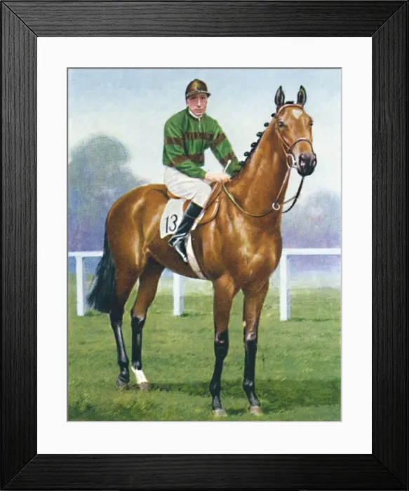 Framed Print : Mirza II, Jockey: H. Wragg, 1939 Framed Print : Mirza II, Jockey: H. Wragg, 1939