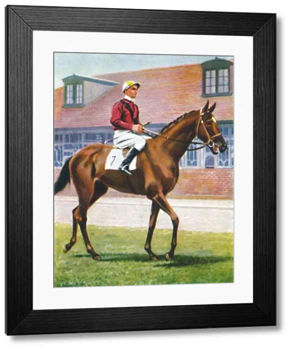 Framed Print : Senor, Jockey: J. Crouch, 1939 Framed Print : Senor, Jockey: J. Crouch, 1939