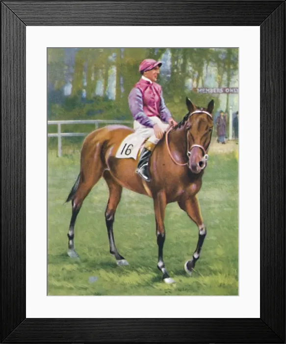 Framed Print : Zoltan, Jockey: M. Beary, 1939 Framed Print : Zoltan, Jockey: M. Beary, 1939