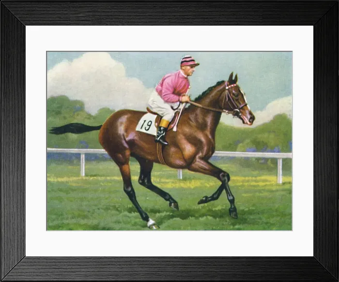 Framed Print : Pasch, Jockey: G. Richards, 1939 Framed Print : Pasch, Jockey: G. Richards, 1939
