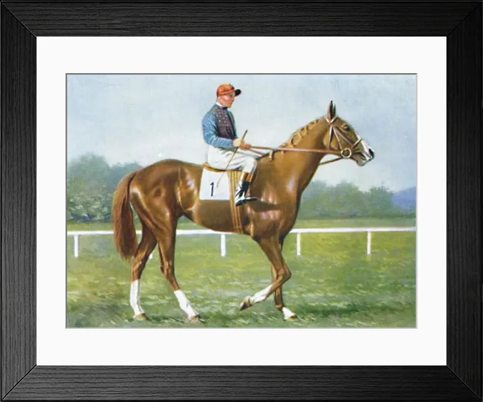 Framed Print : Waterbird, Jockey: E. Smith, 1939 Framed Print : Waterbird, Jockey: E. Smith, 1939