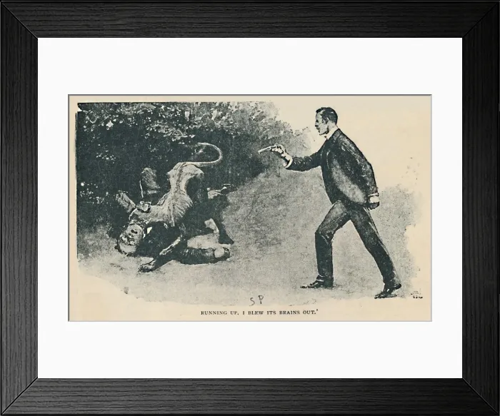 Framed Print : Running Up. I Blew Its Brains Out, 1892. Artist: Sidney E Paget Framed Print : Running Up. I Blew Its Brains Out, 1892. Artist: Sidney E Paget