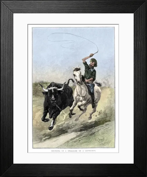 Framed Print : Rounding Up A Straggler On A Cattle Run, Australia, 1886. Artist: Frank P Mahony Framed Print : Rounding Up A Straggler On A Cattle Run, Australia, 1886. Artist: Frank P Mahony