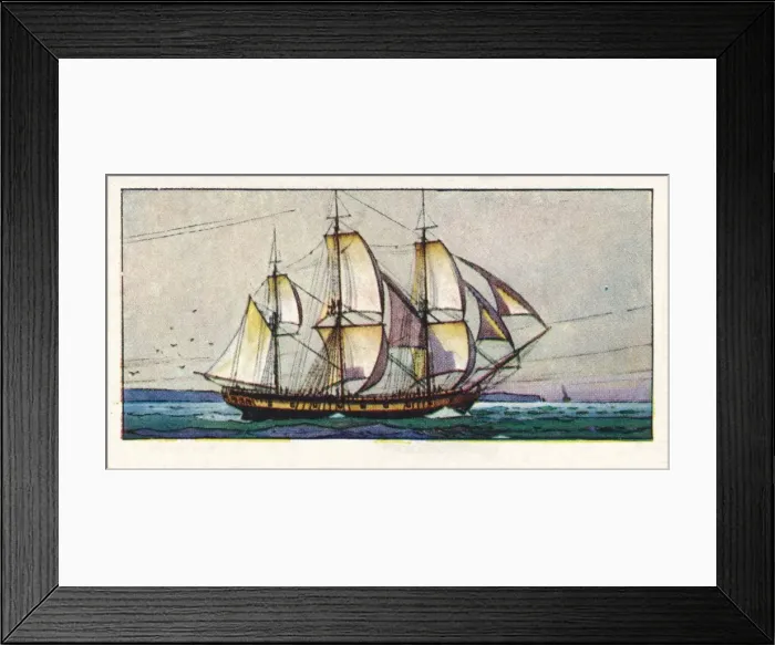 Framed Print : East India Companys Packet Swallow, 1937 Framed Print : East India Companys Packet Swallow, 1937