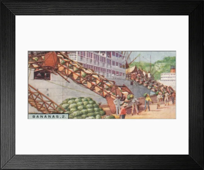 Framed Print : Bananas 2. - Loading a Steamship, Costa Rica, 1928 Framed Print : Bananas 2. - Loading a Steamship, Costa Rica, 1928