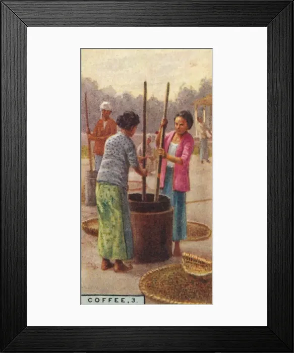 Framed Print : Coffee, 3. Hulling the Beans, Java, 1928 Framed Print : Coffee, 3. Hulling the Beans, Java, 1928