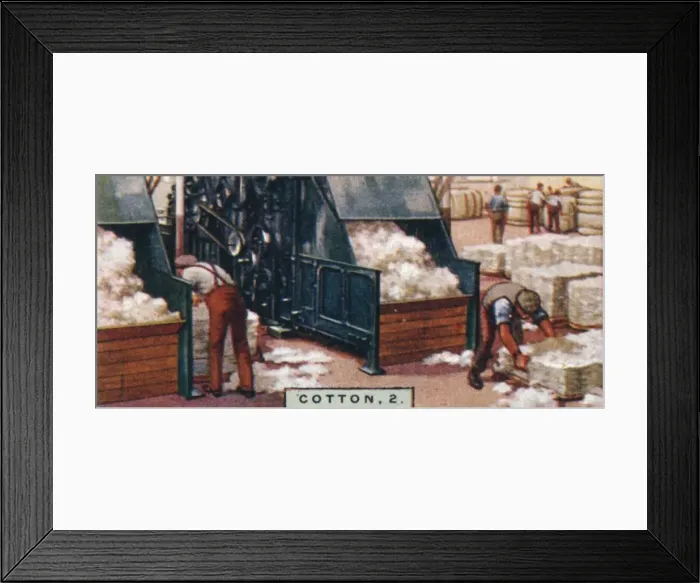 Framed Print : Cotton, 2. - Breaking up Bales in Mixing Room, England, 1928 Framed Print : Cotton, 2. - Breaking up Bales in Mixing Room, England, 1928