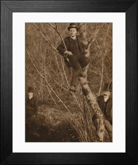 Framed Print : Man sat in a tree, 1937. Artist: Louis Guichard Framed Print : Man sat in a tree, 1937. Artist: Louis Guichard
