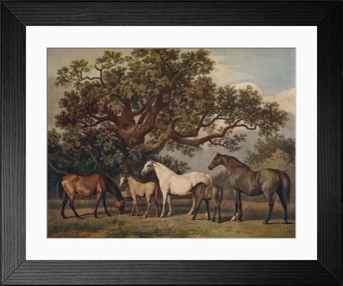 Framed Print : Brood Mares and Foals, late 18th century, (1922). Artist: George Townley Stubbs Framed Print : Brood Mares and Foals, late 18th century, (1922). Artist: George Townley Stubbs