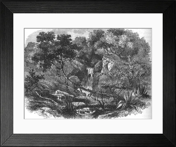 Framed Print : New Zealand Landscape, c1880 Framed Print : New Zealand Landscape, c1880