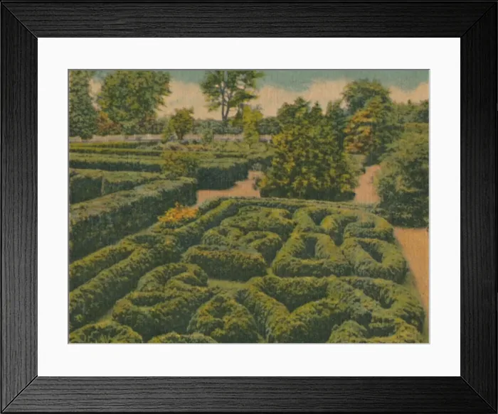 Framed Print : The Flower Garden, general view, 1946 Framed Print : The Flower Garden, general view, 1946