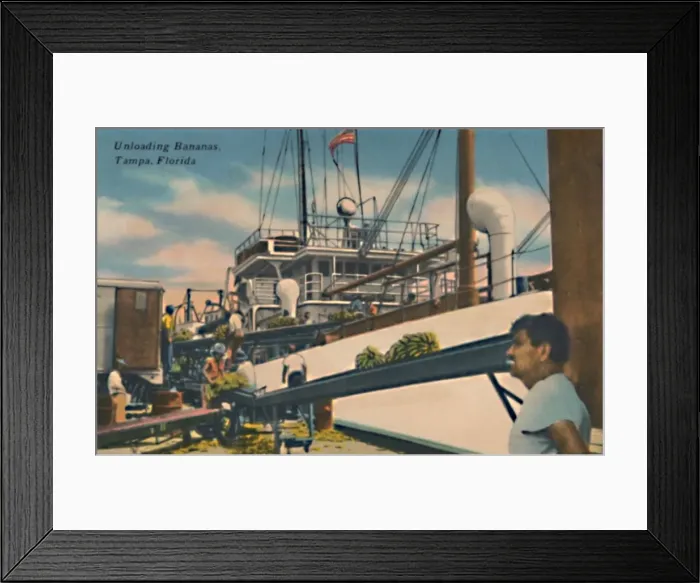 Framed Print : Unloading Bananas, Tampa, Florida, c1940s Framed Print : Unloading Bananas, Tampa, Florida, c1940s