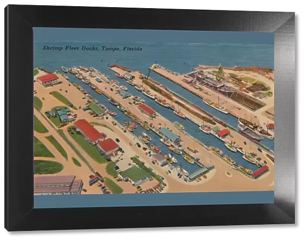 Shrimp Fleet Docks, Tampa, Florida, 1940s