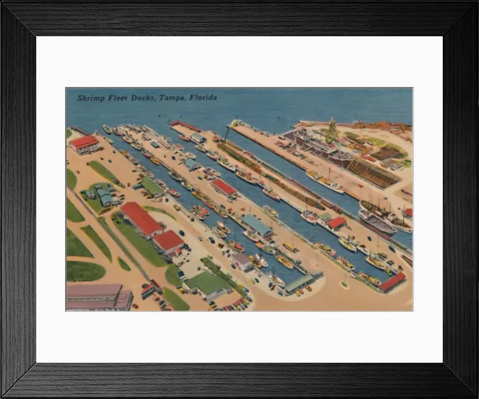 Framed Print : Shrimp Fleet Docks, Tampa, Florida, 1940s Framed Print : Shrimp Fleet Docks, Tampa, Florida, 1940s
