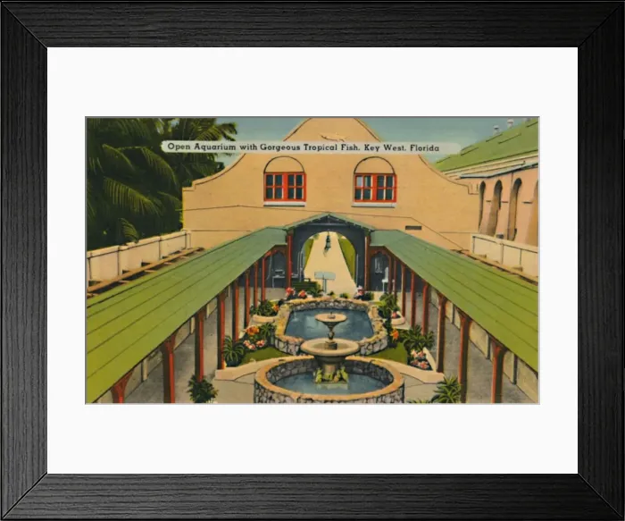 Framed Print : Open Aquarium with Gorgeous Tropical Fish, Key West, Florida, c1940s Framed Print : Open Aquarium with Gorgeous Tropical Fish, Key West, Florida, c1940s