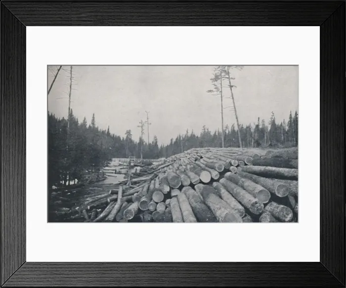 Framed Print : Lumbering, 1924 Framed Print : Lumbering, 1924