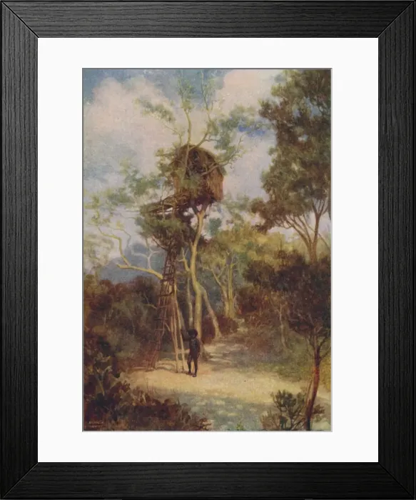 Framed Print : Melanesian Tree-House, 1924 Framed Print : Melanesian Tree-House, 1924