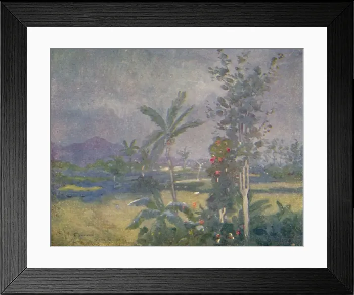 Framed Print : Tropical Rains in the West Indies, 1924