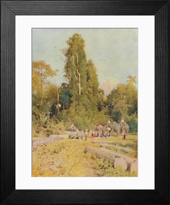 Framed Print : Elephants Piling Teak, 1924 Framed Print : Elephants Piling Teak, 1924