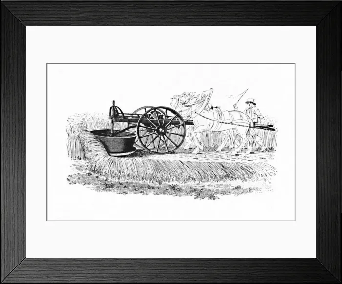Framed Print : Reaping Machine Invented by James Smith of Deanston, 1816, (1904) Framed Print : Reaping Machine Invented by James Smith of Deanston, 1816, (1904)