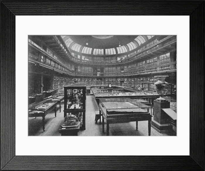 Framed Print : Interior of the Geological Museum, Jermyn Street, 1904 Framed Print : Interior of the Geological Museum, Jermyn Street, 1904