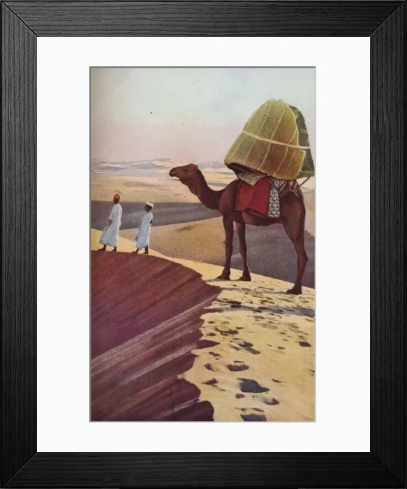 Framed Print : Sahara, c1930s