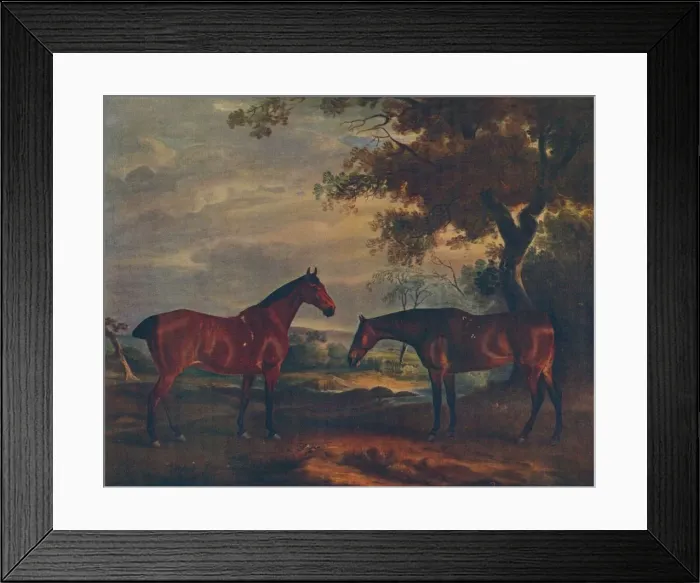 Framed Print : Yorkshire Hunters at Grass, c1840, (1922). Artist: John Ferneley Framed Print : Yorkshire Hunters at Grass, c1840, (1922). Artist: John Ferneley