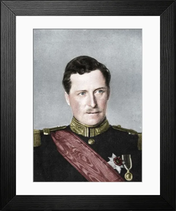 Framed Print : Albert, King of Belgium, First World War, 1914. Artist: W&D Downey Framed Print : Albert, King of Belgium, First World War, 1914. Artist: W&D Downey