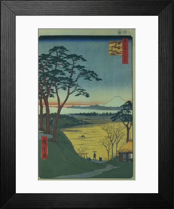 Framed Print : 2596240 Framed Print : 2596240