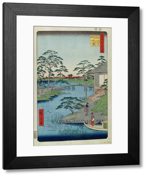 Framed Print : 2596268 Framed Print : 2596268