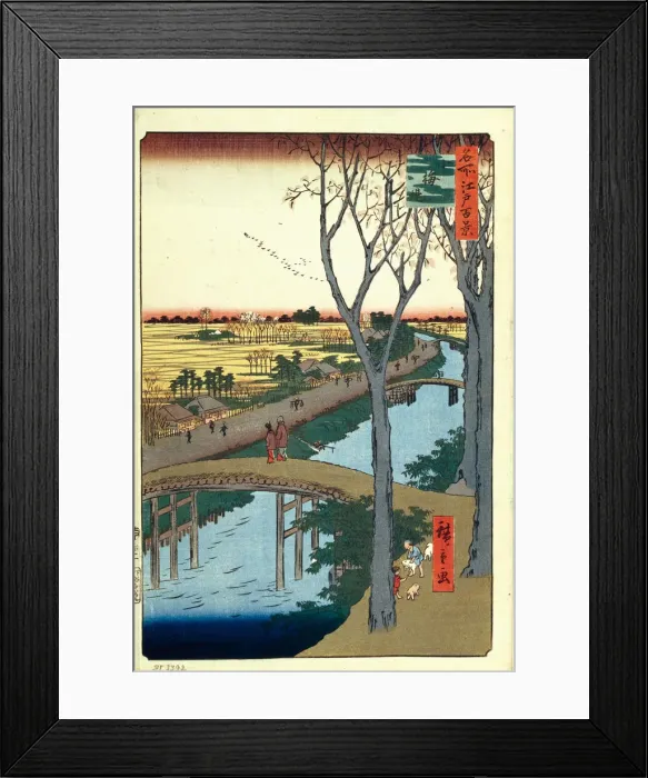 Framed Print : 2596269 Framed Print : 2596269