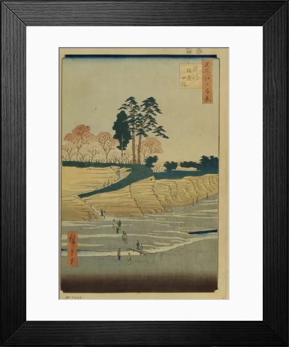 Framed Print : 2596275 Framed Print : 2596275