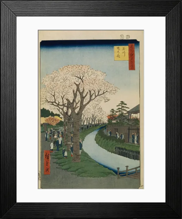 Framed Print : 2596280 Framed Print : 2596280