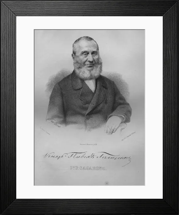 Framed Print : Portrait of Count Pavel Pavlovich Gagarin (1789-1872), 1865. Artist: Borel, Pyotr Fyodorovich (1829-1898) Framed Print : Portrait of Count Pavel Pavlovich Gagarin (1789-1872), 1865. Artist: Borel, Pyotr Fyodorovich (1829-1898)
