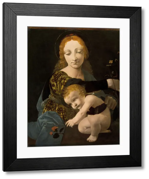 Framed Print : The Virgin and Child, 1480. Artist: Boltraffio, Giovanni Antonio (1467-1516) Framed Print : The Virgin and Child, 1480. Artist: Boltraffio, Giovanni Antonio (1467-1516)