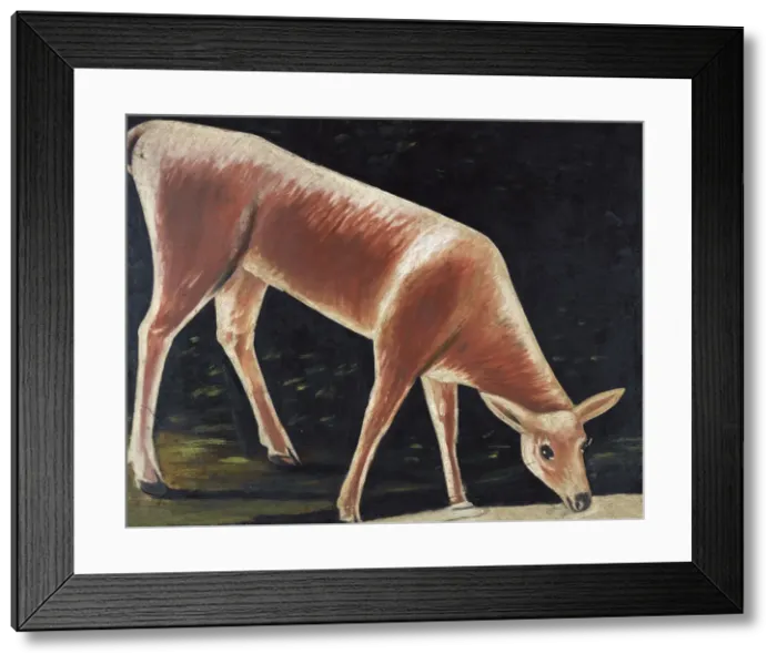 Framed Print : Roe deer drinking. Artist: Pirosmani, Niko (1862-1918) Framed Print : Roe deer drinking. Artist: Pirosmani, Niko (1862-1918)