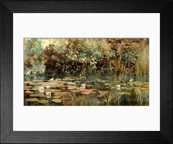 Framed Print : Pond with Water Lilies, Early 1890s. Artist: Polenova, Elena Dmitryevna (1850-1898) Framed Print : Pond with Water Lilies, Early 1890s. Artist: Polenova, Elena Dmitryevna (1850-1898)