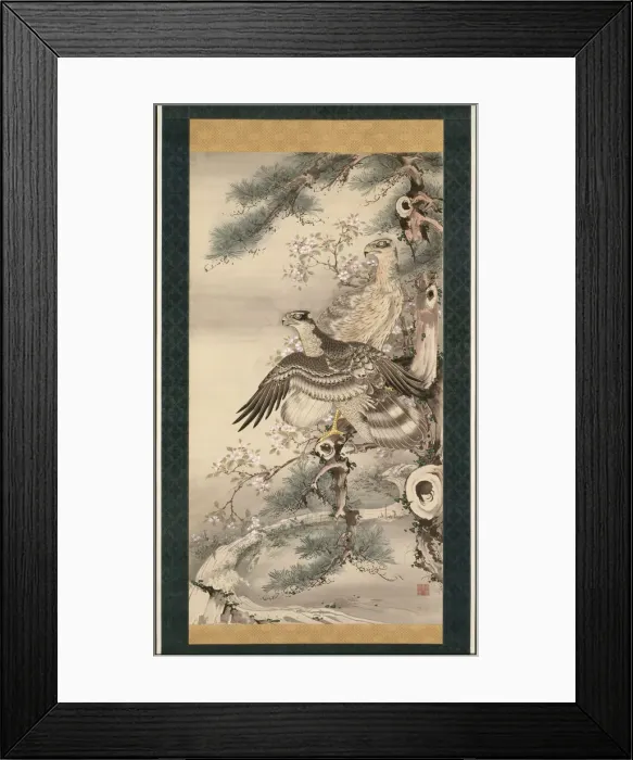 Framed Print : Pair of Hawks with Branch and Blossoms. Artist: Shohaku, Soga (1730-1781) Framed Print : Pair of Hawks with Branch and Blossoms. Artist: Shohaku, Soga (1730-1781)