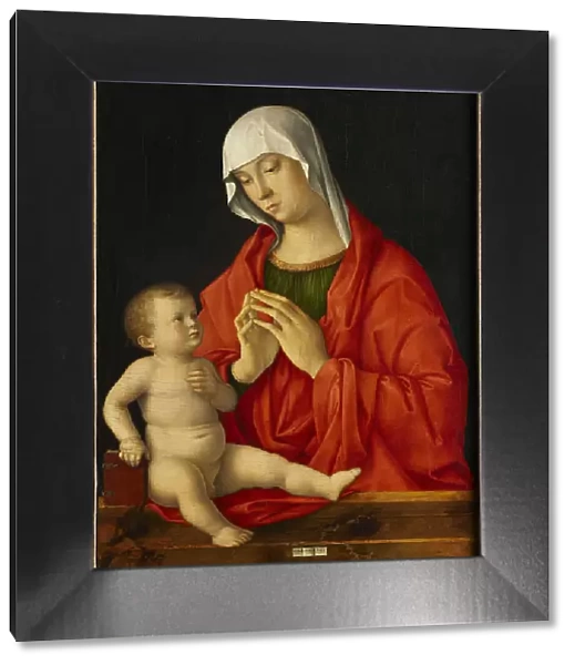 Madonna and Child, c. 1480-1485