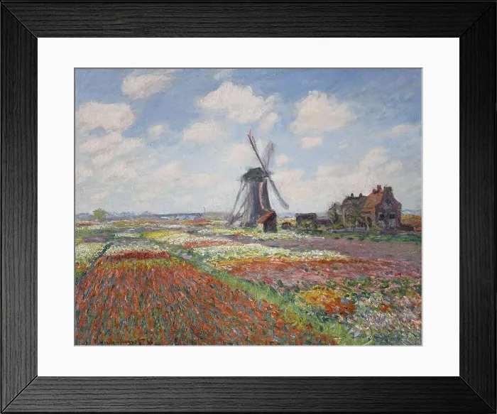 Framed Print : Tulip fields in Holland (Champs de tulipes en Hollande) Framed Print : Tulip fields in Holland (Champs de tulipes en Hollande)