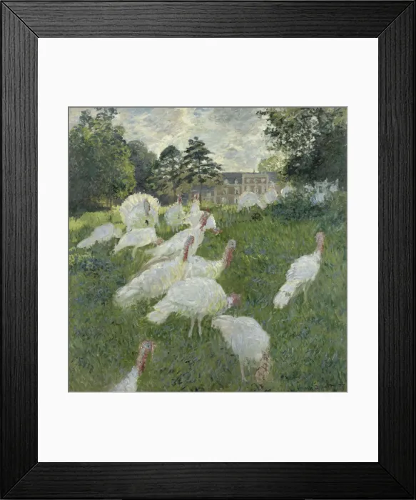 Framed Print : Les dindons Framed Print : Les dindons