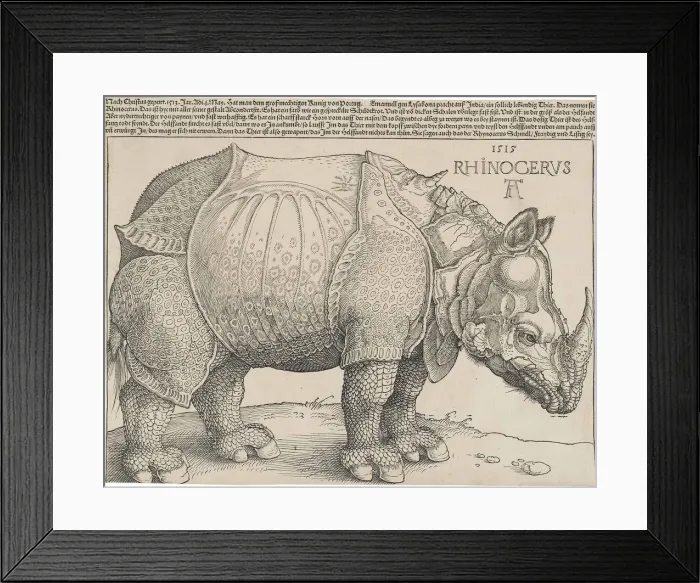 Framed Print : The Rhinoceros Framed Print : The Rhinoceros