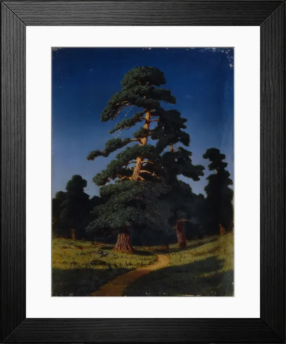 Framed Print : Pine Tree. Artist: Kuindzhi, Arkhip Ivanovich (1842-1910) Framed Print : Pine Tree. Artist: Kuindzhi, Arkhip Ivanovich (1842-1910)