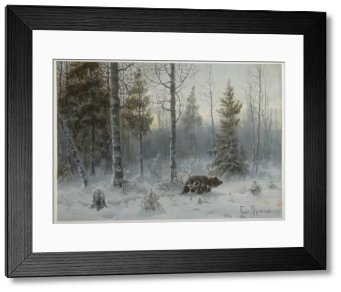 Framed Print : Bear in the winter forest, 1907. Artist: Muravyov, Count Vladimir Leonidovich (1861-1940) Framed Print : Bear in the winter forest, 1907. Artist: Muravyov, Count Vladimir Leonidovich (1861-1940)